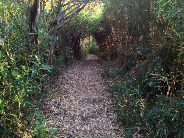 Image of the Tenen Hiking Course