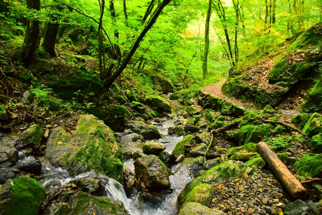 Image of Mount Mitake Rock Garden