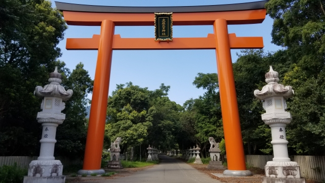 A person bowing at a shrine's torii gate.