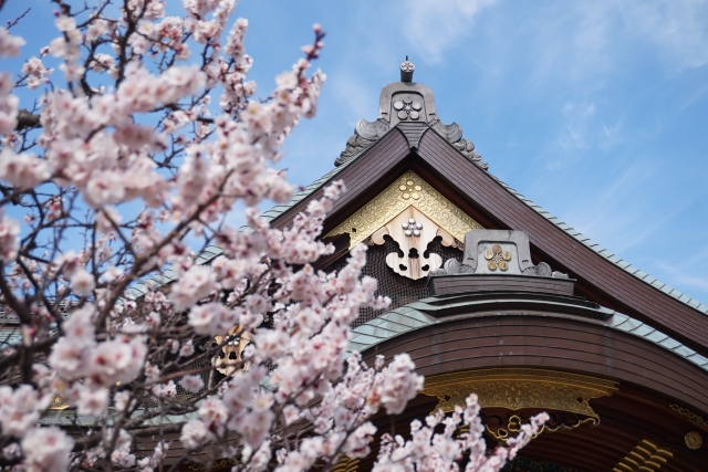 Plum Blossoms at Yushima Tenjin