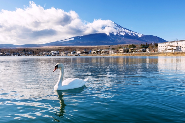 Mt. Fuji from Lake Kawaguchi